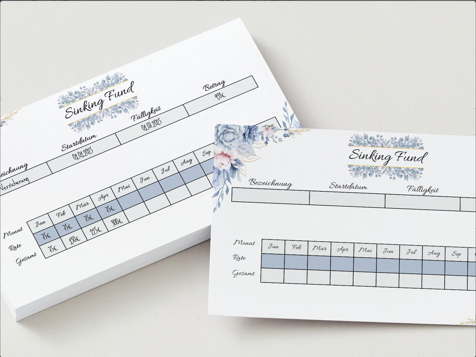 Sinking Fund Tracker - LHS