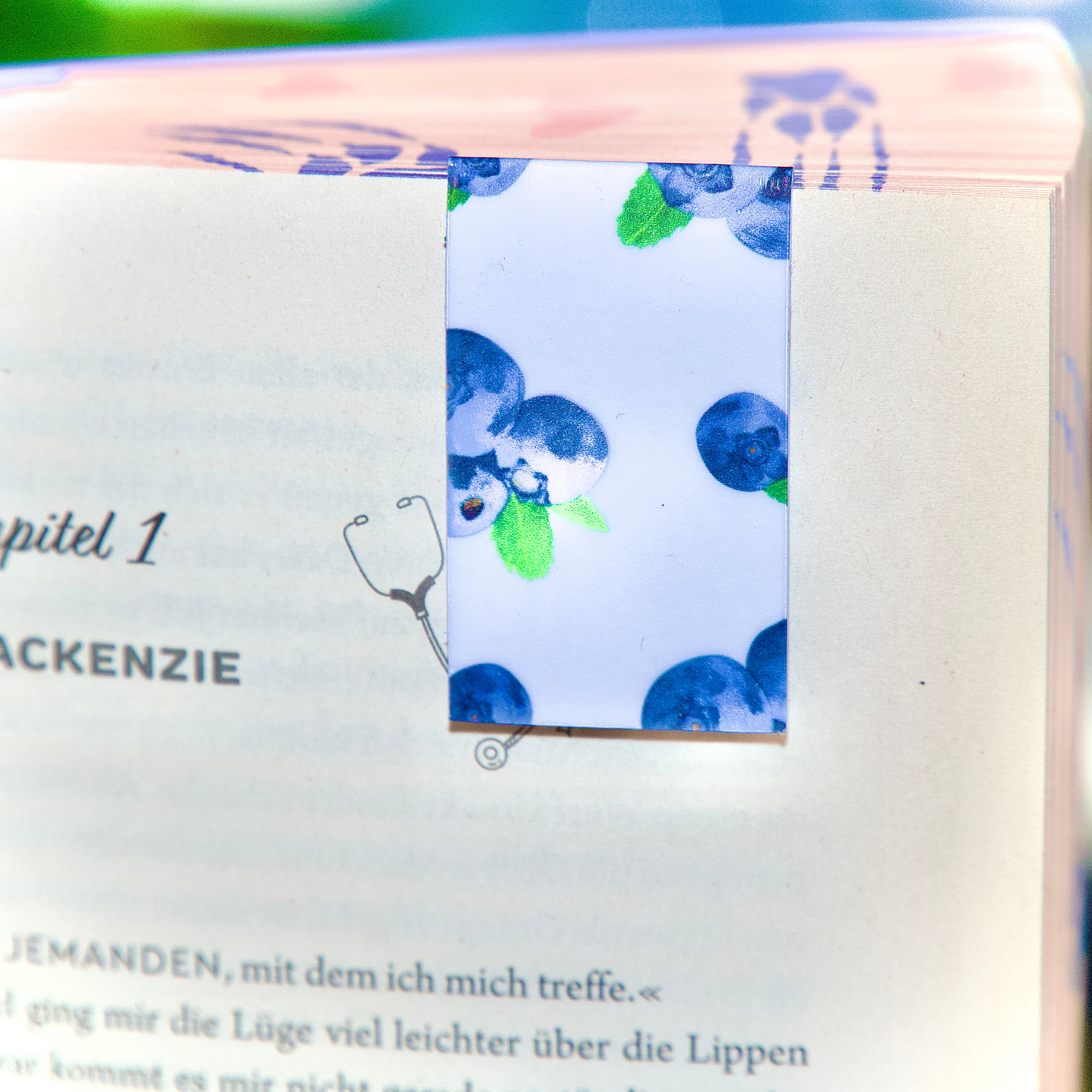 Magnet Lesezeichen Blaubeeren - LHS