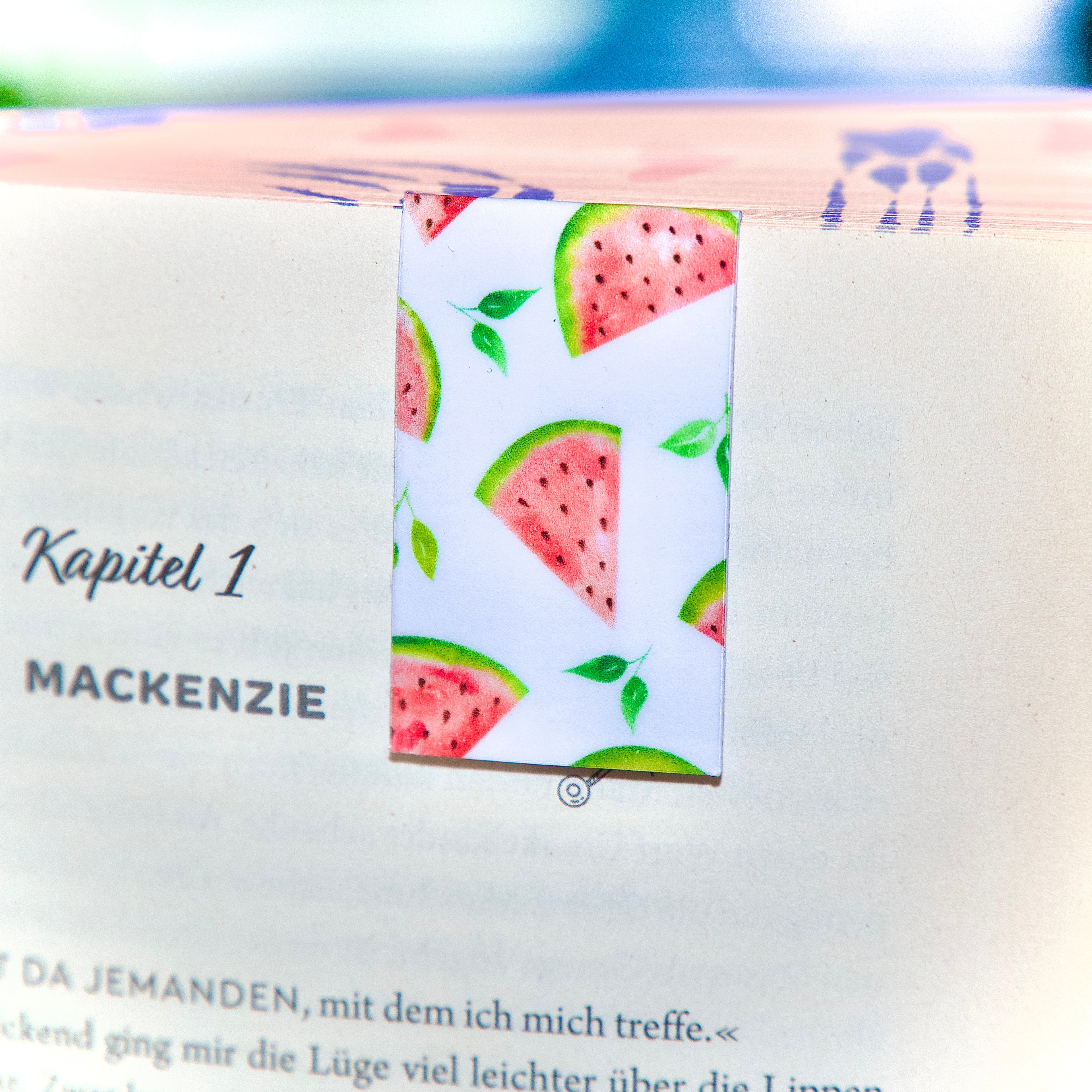 Magnet Lesezeichen Melonen - LHS