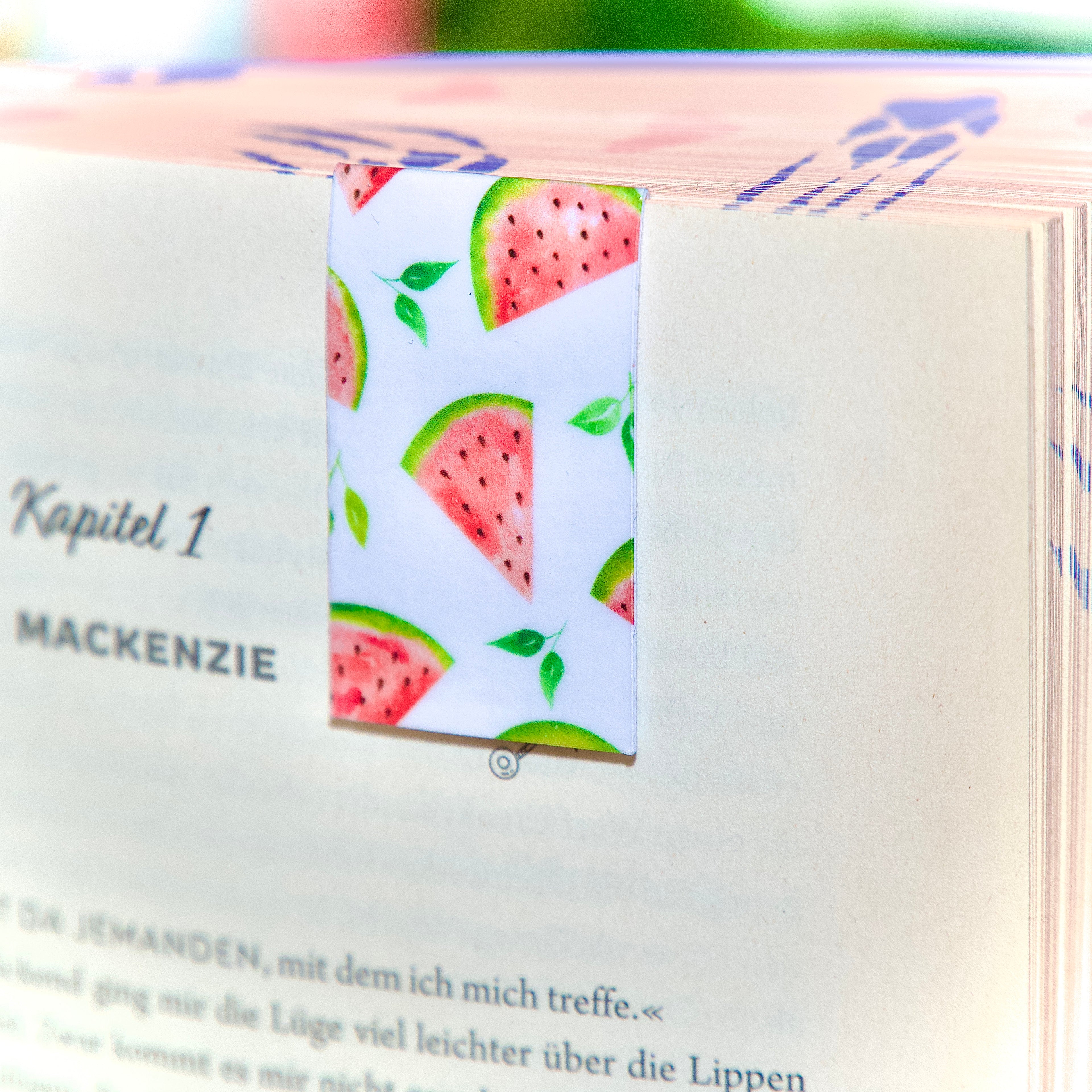 Magnet Lesezeichen Melonen - LHS
