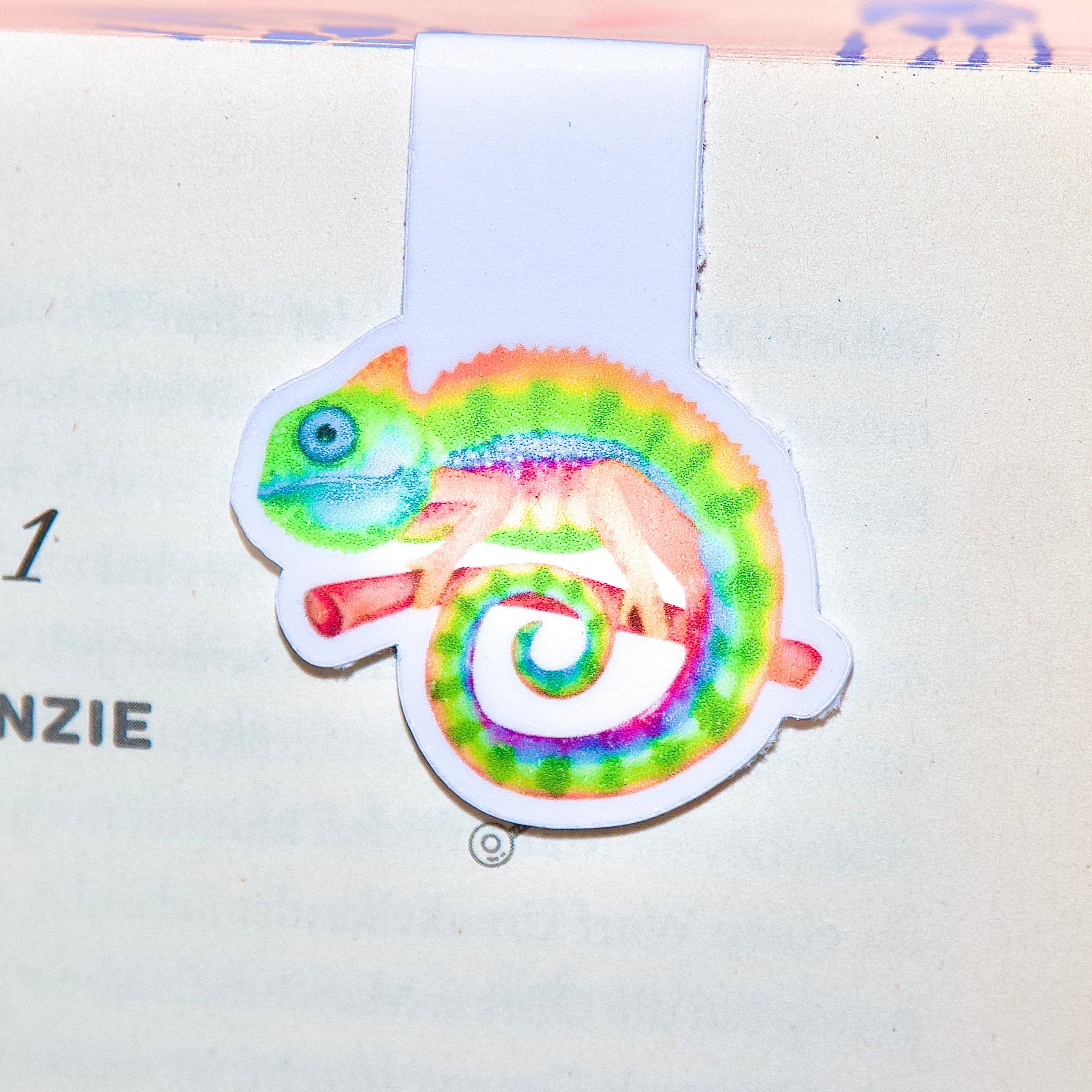 Magnet Lesezeichen Chamäleon - LHS