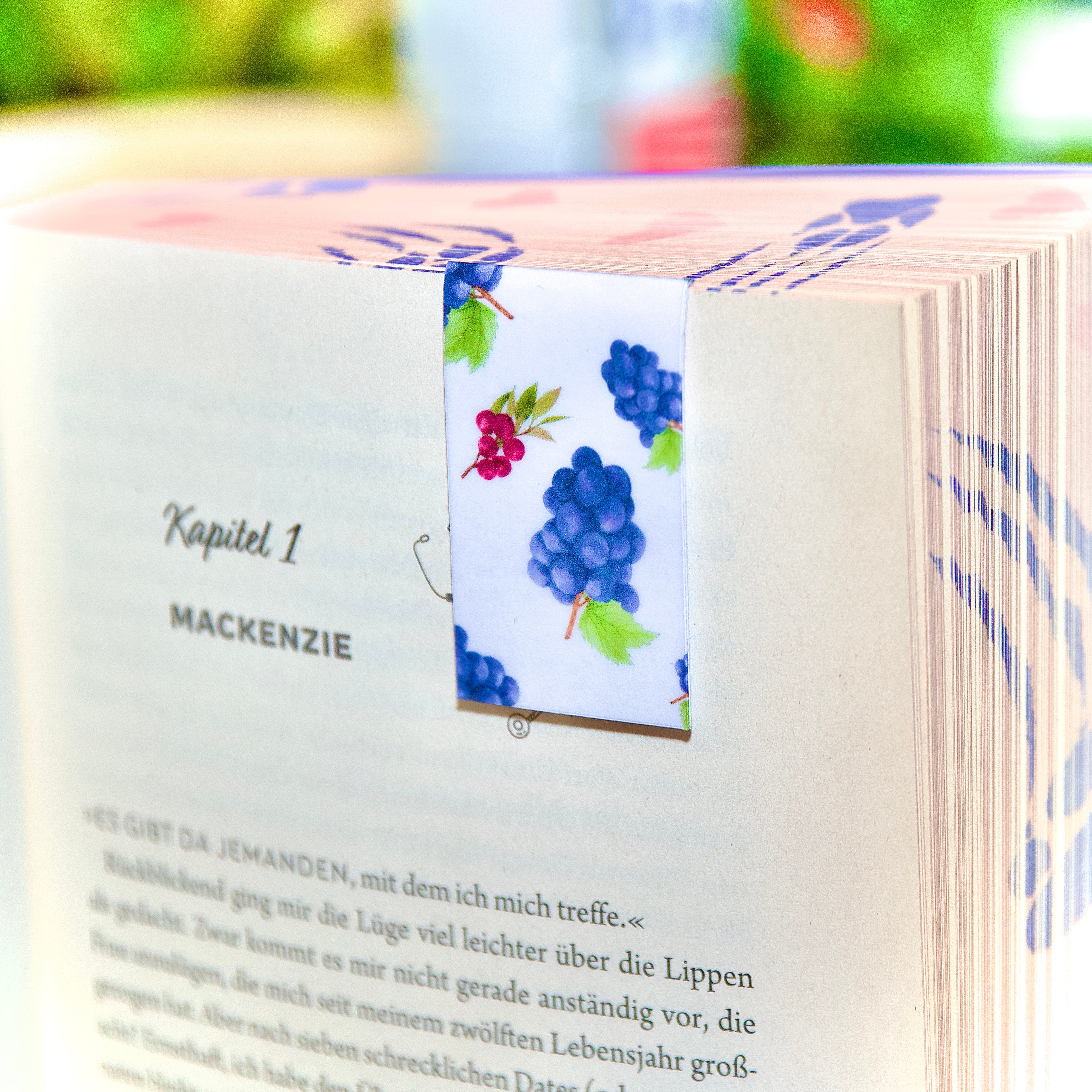 Magnet Lesezeichen Trauben - LHS